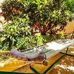 Graca Garden Lisbona